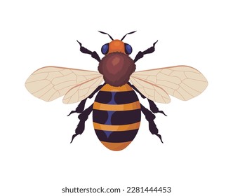 icono de abeja fondo blanco aislado