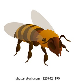 Bee icon. Isometric of bee vector icon for web design isolated on white background