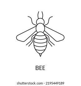 Línea de icono de abeja en vector, ilustración de insecto.