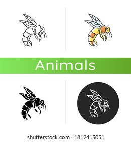 Bee icon. Linear black and RGB color styles. Small flying insect with sting. Beekeeping, apiculture. Honeybee, flower pollinating bug. Wasp, hornet, bumblebee isolated isolated vector illustrations