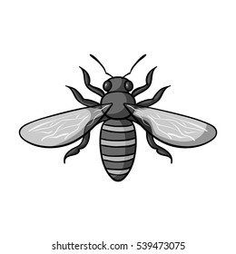 Bee icon in monochrome style isolated on white background. Insects symbol stock vector illustration.