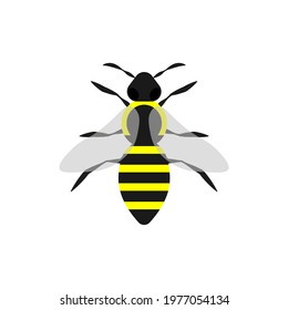 Bee icon on white background. Vector illustration