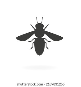 Bee icon on a white background. Vector illustration
