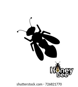Bee icon on white background