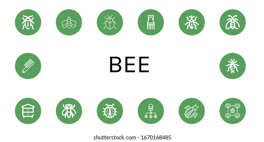 bee icon set. Collection of Sap beetle, Bumblebee, Stink bug, Comb, Weevil, Moth, Beehive, Fly, Ladybug, Bug, Earwig icons
