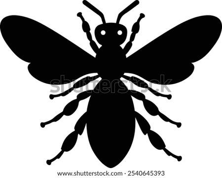Bees fly in front of their hive in spring