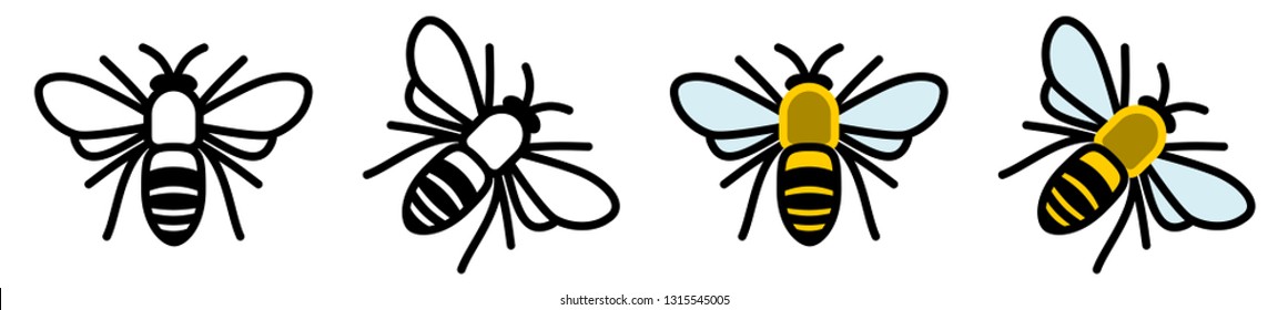 Bee Icon, Top View, Black And Coloured Version