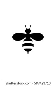 Bee Icon, Vector