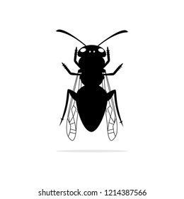 the bee icon. Vector concept illustration for design.