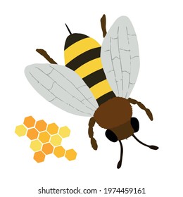 Bee, the bee icon. Vector illustration