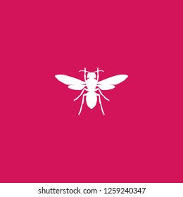 bee icon vector. bee sign on pink background. bee icon for web and app