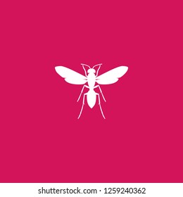 bee icon vector. bee sign on pink background. bee icon for web and app