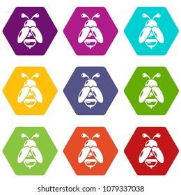 Bee icons 9 set coloful isolated on white for web