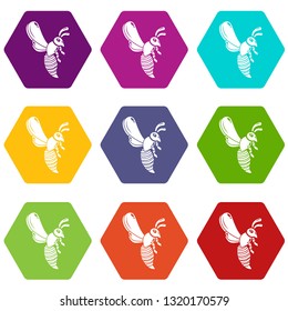 Bee icons 9 set coloful isolated on white for web