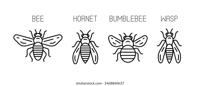 Iconos de abeja. Abeja, Avispón, Abejón, Avispa. Iconos de insectos zumbando. Estilo lineal. Ilustración vectorial moderna