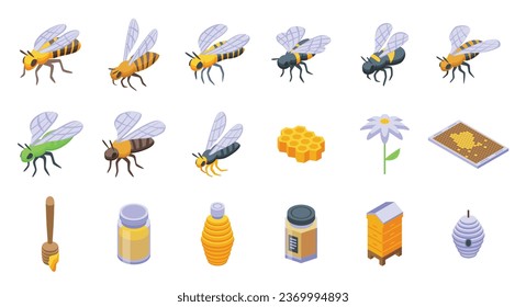 Bienensymbole setzen isometrische Vektorgrafik. Buzz Fliege. Cute-fliegendes Insekt