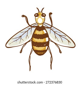 Bee illustration