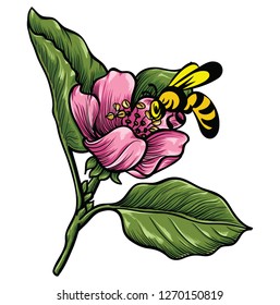 Bee illustration Artwork