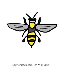Bee illustration isolated on white background