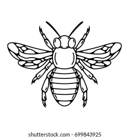 Bee illustration isolated on white background. Design elements for logo, label, emblem, sign. Vector illustration