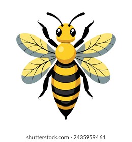 Bee illustration on white background