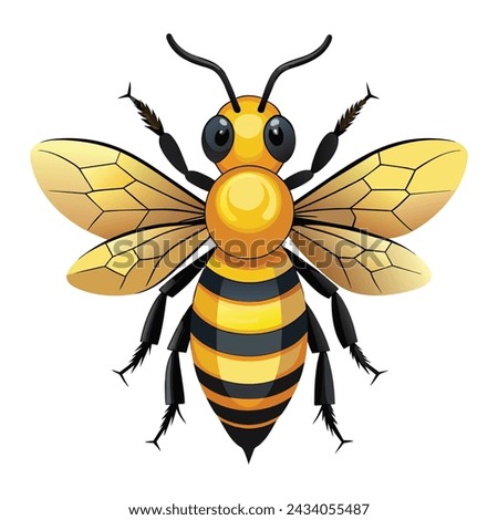 Bee illustration on White Background