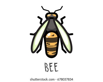 Bee illustration. Vector cartoonish work for print or web using.