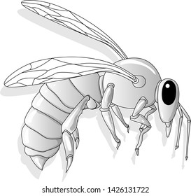 Bee illustration vector Design.  For Creative Industry, Multimedia, entertainment, Educations, Shop, and any related business. Isolated.