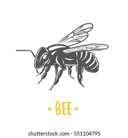 Bee illustration. Vector logotype isolated on white background.