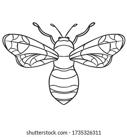 Bee insect black outline freehand, decorated wasp illustration, summer bug sketch, pretty wings design, beautiful ornate tattoo coloring image