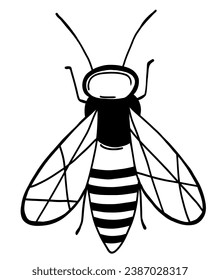 Bee insect in hand drawn outline style