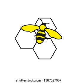 bee insect in honeycomb isolated icon
