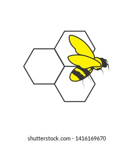 bee insect in honeycomb isolated icon