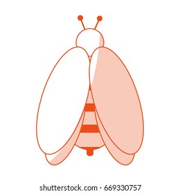 bee insect icon image