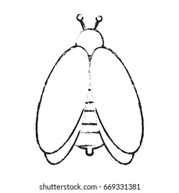 bee insect icon image