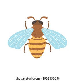 bee insect icon isolated icon