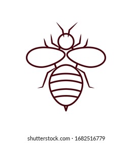 bee insect icon over white background, line style, vector illustration