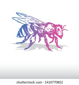 Bee Insect Illustration Vector Art
