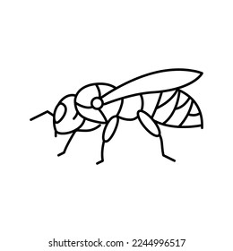 bee insect line icon vector. bee insect sign. isolated contour symbol black illustration