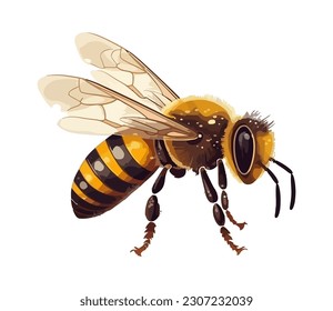 bee insect on white background icon isolated