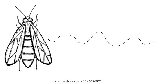 Bee insect with trail. Vector hand drawn illustartion