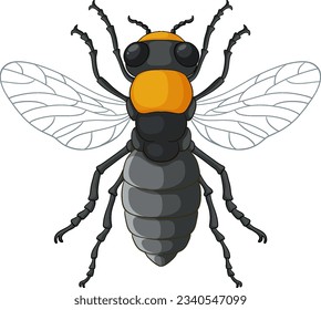 Bee Insect Vector Isolated on White Background illustration