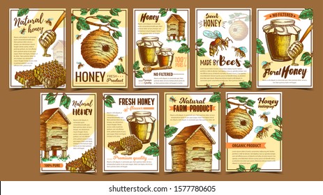 Bee Insect, Wild And Wooden Beehive Posters Vector. Bee Insects, Dipper Stick, Glass Bottle With Honey And Honeycombs. Beekeeping And Sweet Organic Product Layout Designed In Retro Style Illustrations