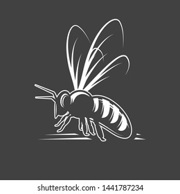 Bee isolated on black background. Vector illustration