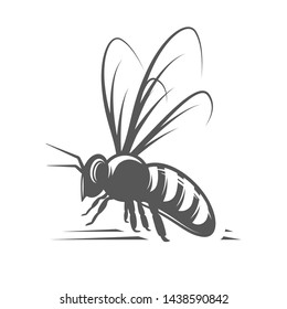 Bee isolated on white background. Vector illustration