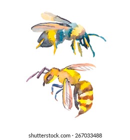 Bee isolated on white background. Bee watercolor. Vector. Wasp.