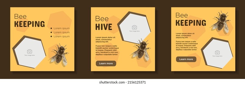 Publicación en medios sociales de las abejas, conjunto de pancartas, salvar el concepto de publicidad de abejas, panal amarillo, plaza de marketing de contenido de insectos de avispas de avispas, impresión abstracta, aislado en segundo plano.