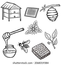 Bee keeping vector illustration with vintage hand drawn style. Bee, honey, honeycomb, beehive.
