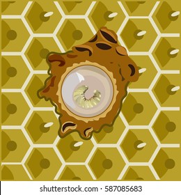 Bee larva with liquor and eggs