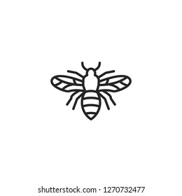 
bee line logo design template